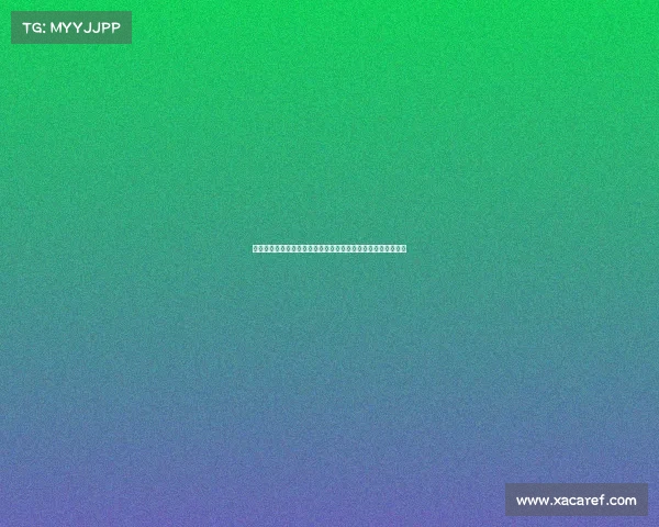 网球比赛赛事文化探析：历史沿革、传统仪式与现代化发展趋势