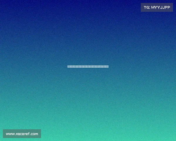 网球比赛赛事文化探析：历史沿革、传统仪式与现代化发展趋势