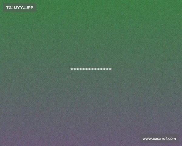 网球比赛赛事文化探析：历史沿革、传统仪式与现代化发展趋势