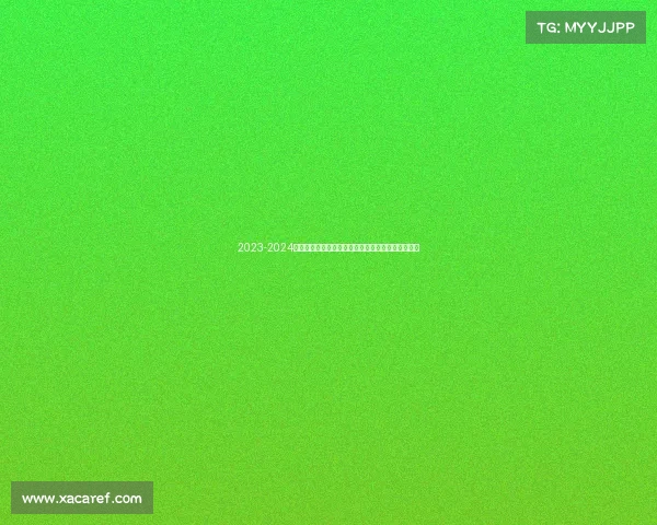 2023-2024赛季法甲助攻榜解析：顶级球员表现与排名走势分析